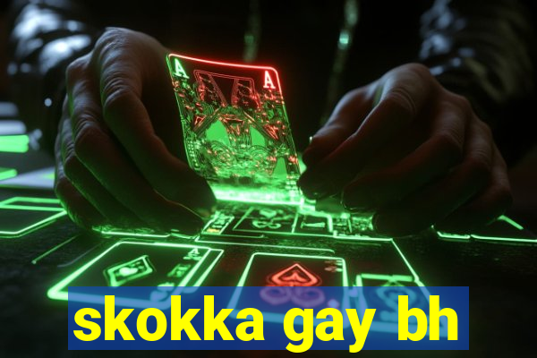 skokka gay bh